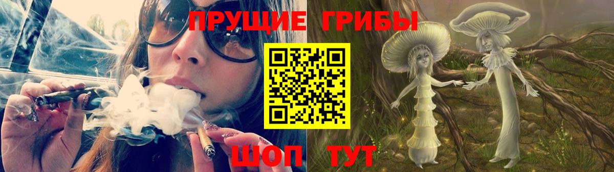наркошоп  Вход с VPN  Сунжа  Псилоцибиновые грибы Psilocybe  Псилоцибиновые грибы Psilocybe 